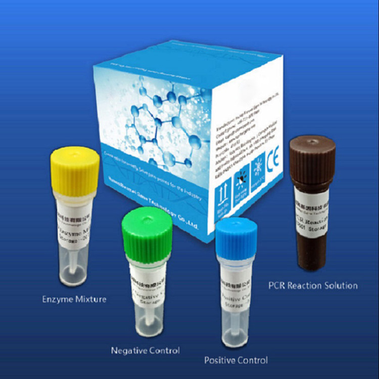 Ngwa nyocha Reagent Diagnostic Maka Covid-2019 dabere na Platform Pcr adịlarị